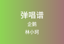 企鹅吉他谱_林小珂_C调弹唱六线谱