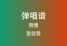 用情吉他谱_张信哲_G调弹唱六线谱(版本5)