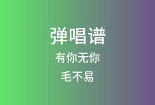 有你无你吉他谱_毛不易_C调弹唱六线谱