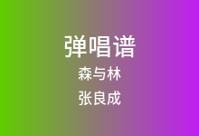 森与林吉他谱_张良成_C调弹唱六线谱