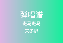 斑马斑马吉他谱_宋冬野_G调弹唱六线谱(版本3)