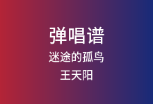 迷途的孤鸟吉他谱_王天阳_G调弹唱六线谱(版本3)