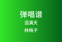 泪满天吉他谱_林梅子_G调弹唱六线谱