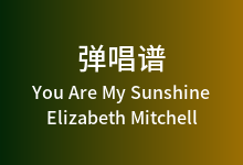 You Are My Sunshine吉他谱_Elizabeth Mitchell_G调(版本2)