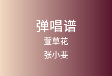 萱草花吉他谱_张小斐_G调弹唱六线谱(版本8)