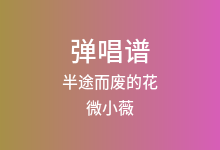 半途而废的花吉他谱_微小薇_C调弹唱六线谱