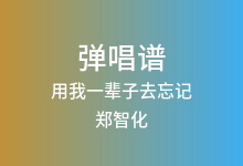用我一辈子去忘记吉他谱_郑智化_C调弹唱六线谱