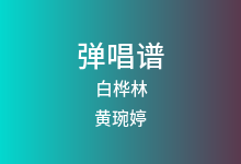 白桦林吉他谱_黄琬婷_C调弹唱六线谱