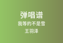 我等的不是雪吉他谱_王羽泽_G调弹唱六线谱(版本2)