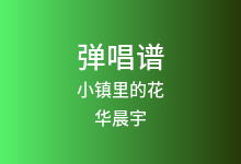 小镇里的花吉他谱_华晨宇_C调弹唱六线谱(版本3)