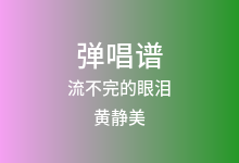 流不完的眼泪吉他谱_黄静美_G调弹唱六线谱