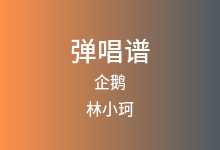 企鹅吉他谱_林小珂_C调弹唱六线谱(版本2)