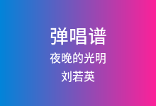 夜晚的光明吉他谱_刘若英_C调弹唱六线谱