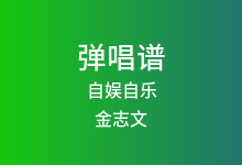 自娱自乐吉他谱_金志文_C调弹唱六线谱(版本3)