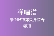 每个眼神都只身荒野吉他谱_郭顶_G调弹唱六线谱
