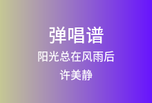 阳光总在风雨后吉他谱_许美静_C调弹唱六线谱