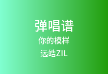 你的模样吉他谱_远皓ZIL/宇恒_C调弹唱六线谱