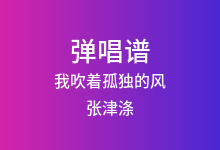 我吹着孤独的风吉他谱_张津涤_G调弹唱六线谱