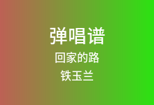 回家的路吉他谱_铁玉兰_G调弹唱六线谱