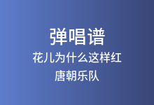 花儿为什么这样红吉他谱_唐朝乐队_C调弹唱六线谱