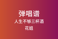 人生不够三杯酒吉他谱_花姐_G调弹唱六线谱