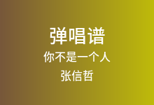 你不是一个人吉他谱_张信哲/薛之谦_G调弹唱六线谱