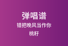 错把晚风当作你吉他谱_桃籽/何文宇_C调弹唱六线谱