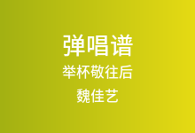 举杯敬往后吉他谱_魏佳艺_G调弹唱六线谱