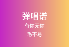 有你无你吉他谱_毛不易_C调弹唱六线谱(版本2)