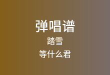 踏雪吉他谱_等什么君_C调弹唱六线谱(版本2)