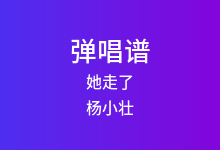 她走了吉他谱_杨小壮_C调弹唱六线谱(版本2)
