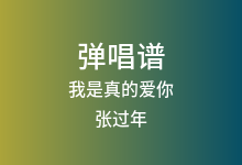我是真的爱你吉他谱_张过年_D调弹唱六线谱