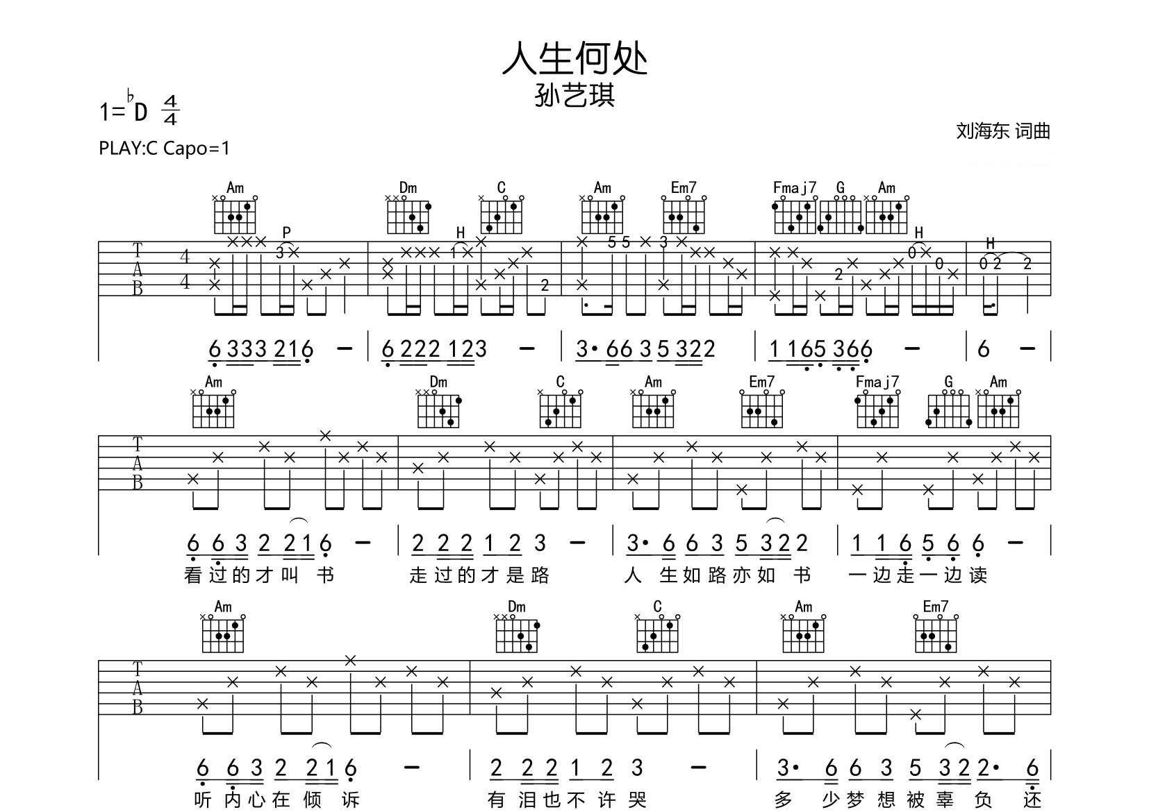 人生何处吉他谱预览图