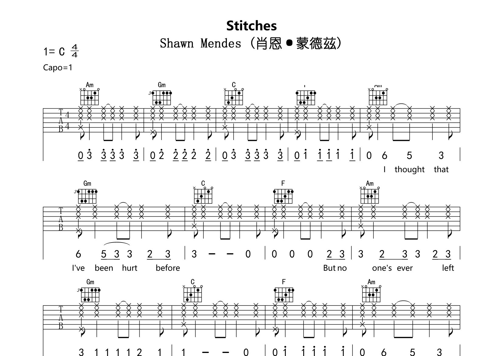 Stitches吉他谱预览图
