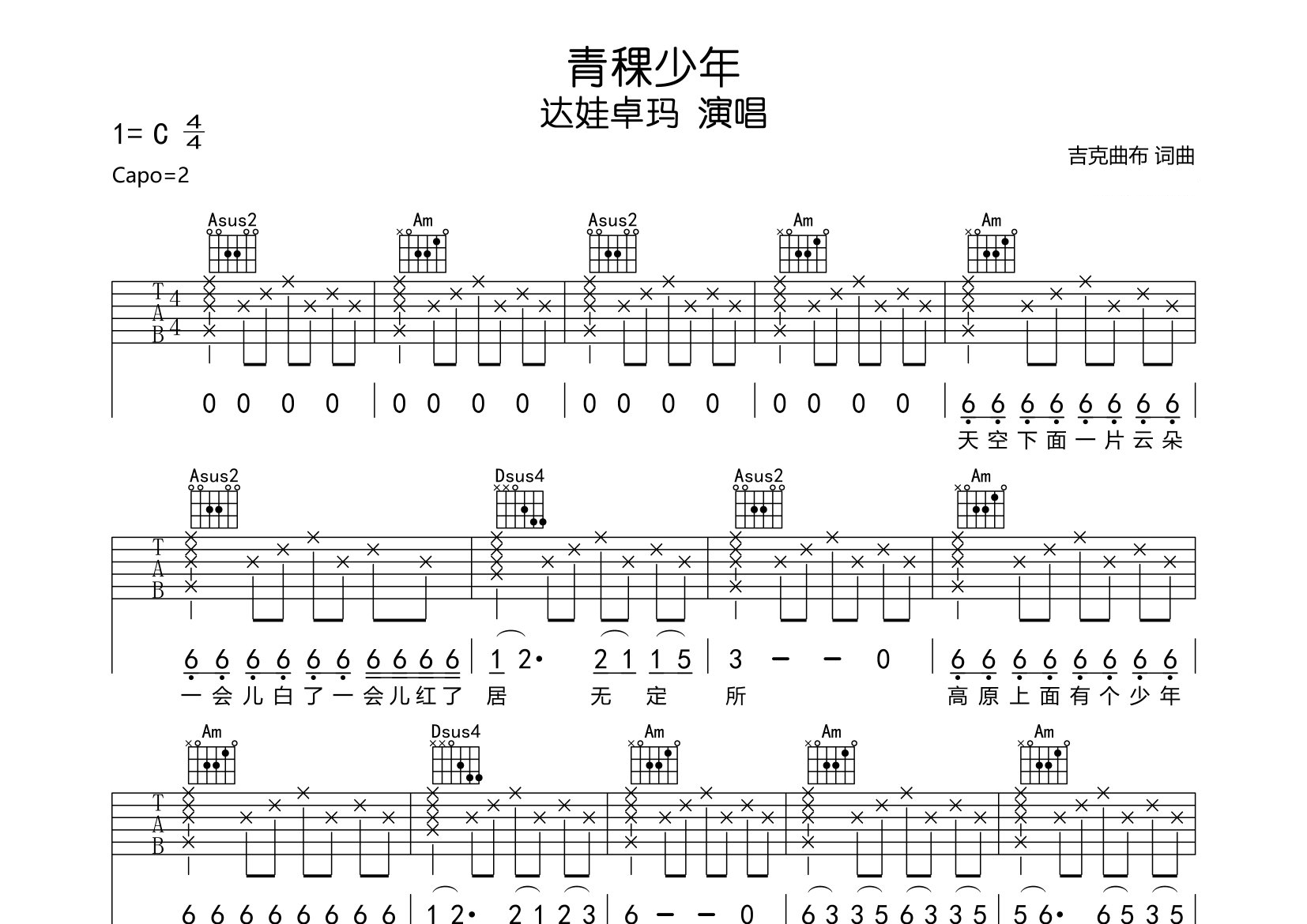 青稞少年吉他谱预览图