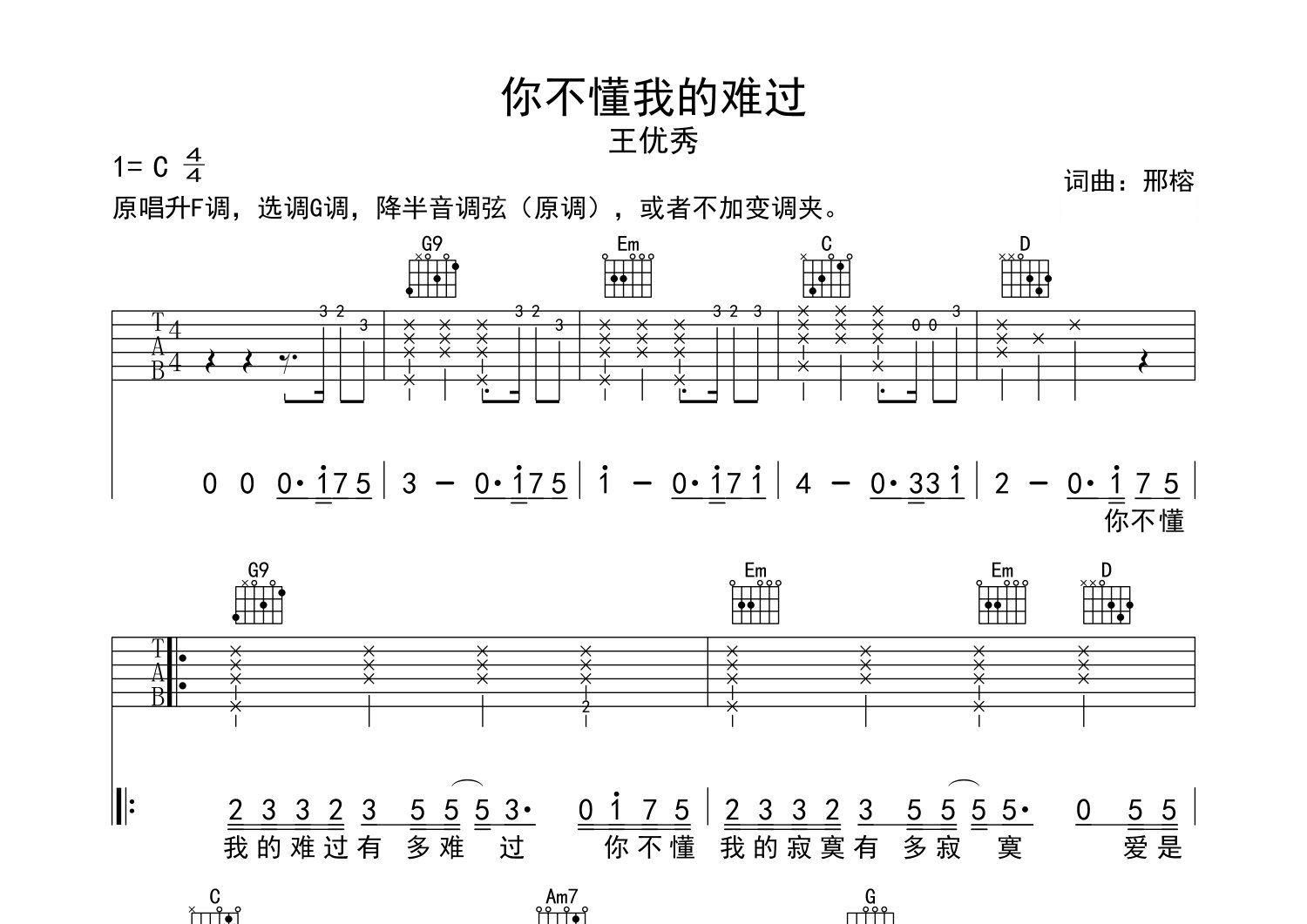 你不懂我的难过吉他谱预览图