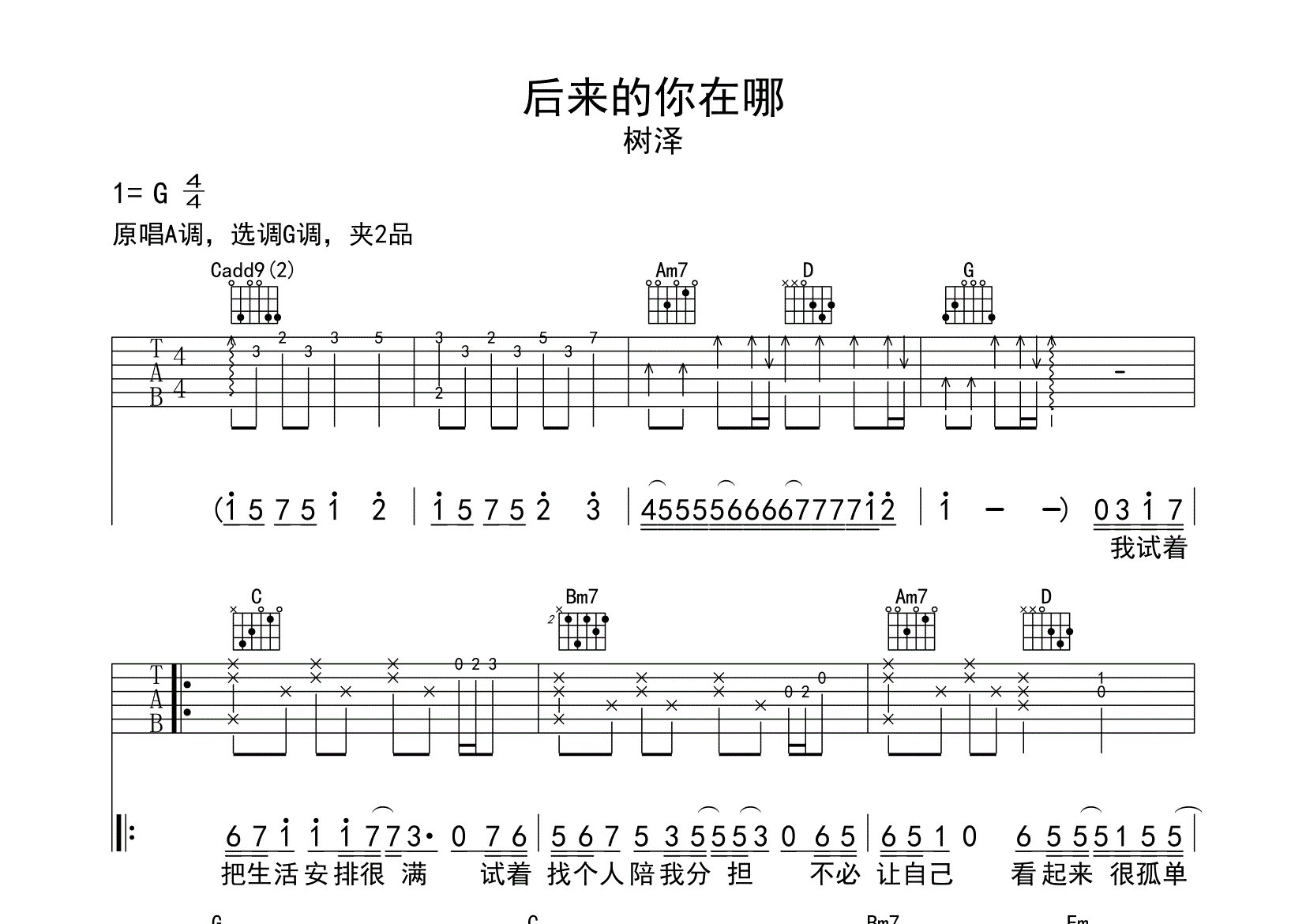后来的你在哪吉他谱预览图