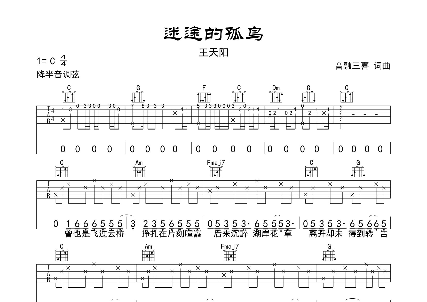迷途的孤鸟吉他谱预览图