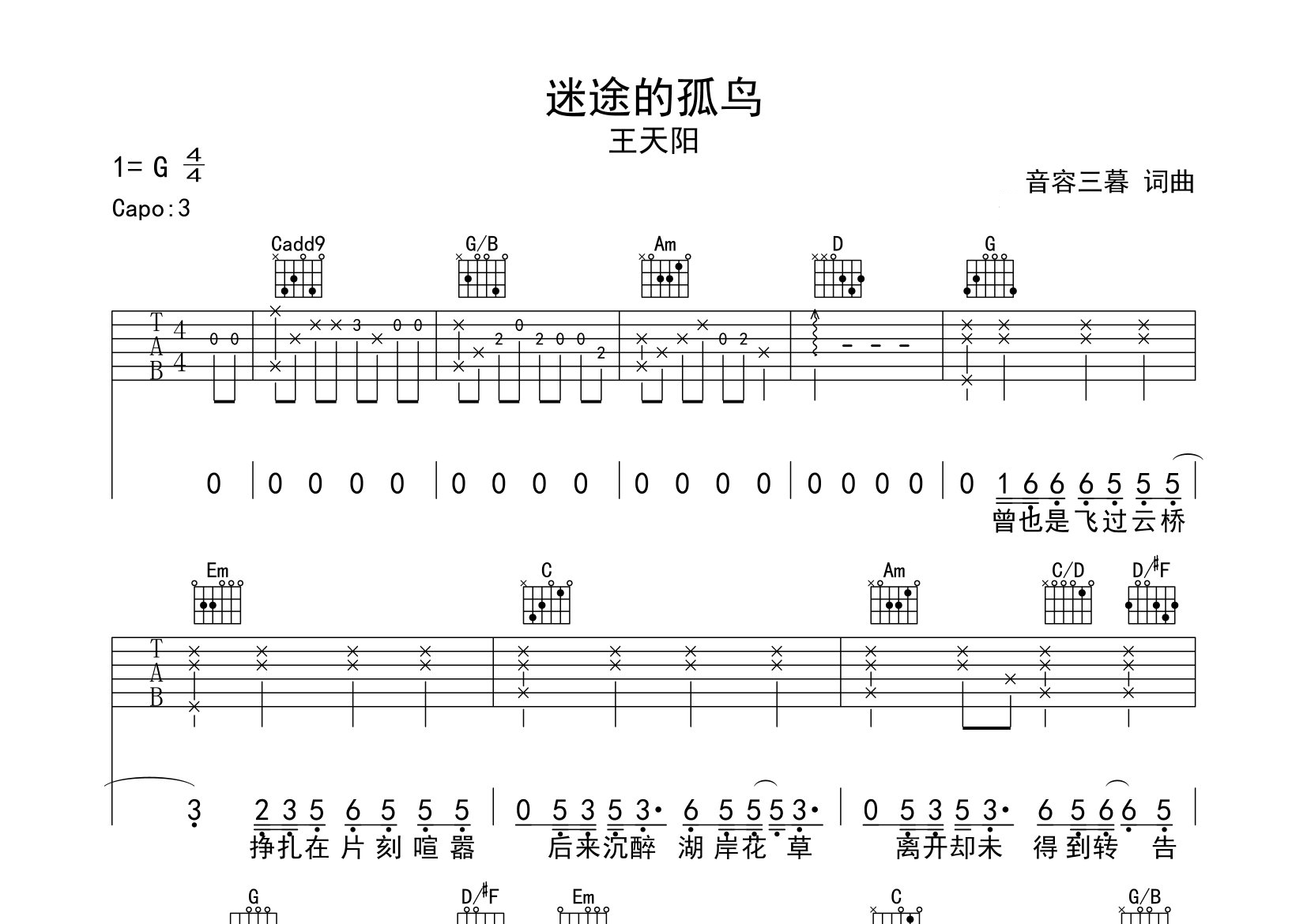 迷途的孤鸟吉他谱预览图