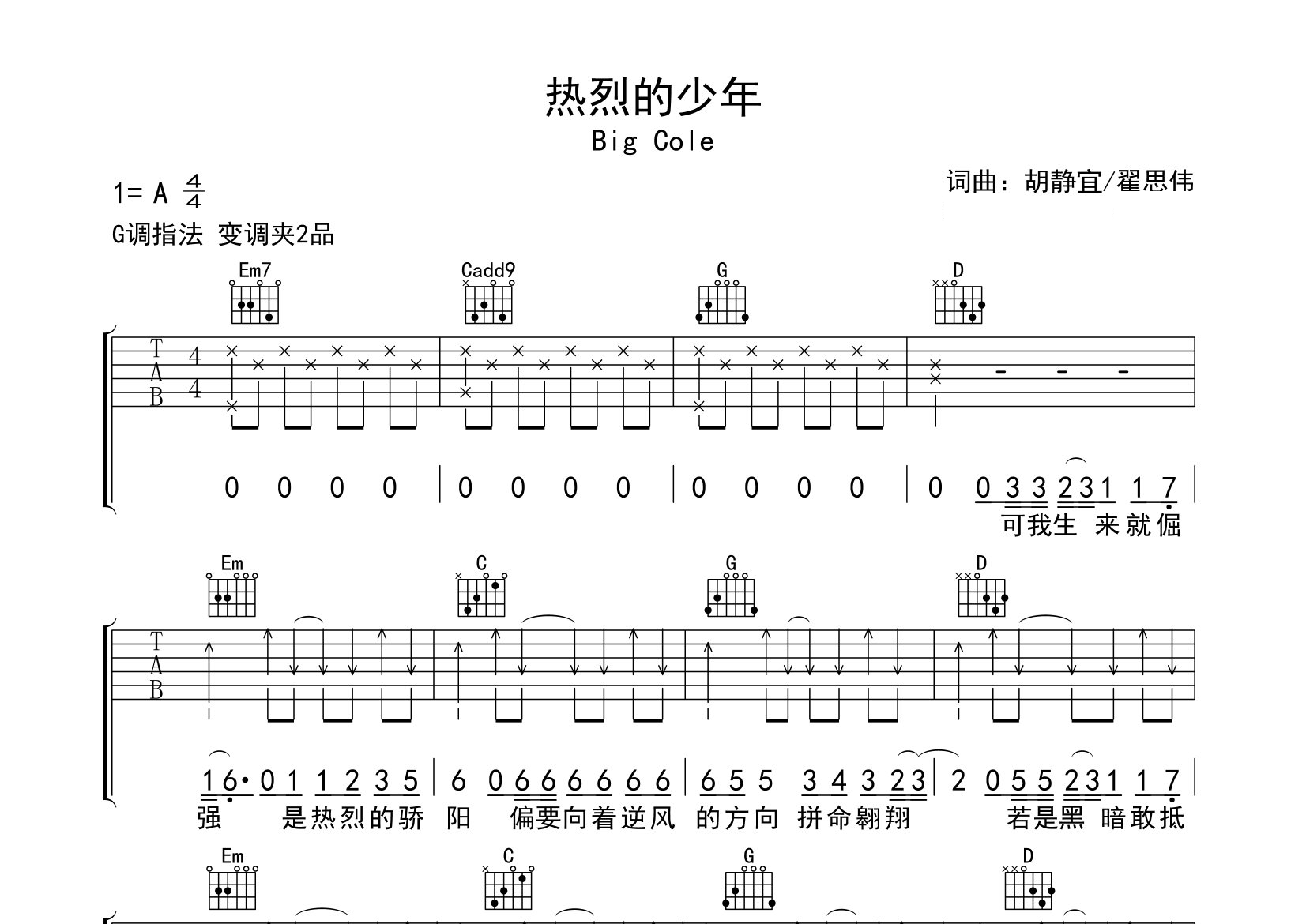 热烈的少年吉他谱预览图