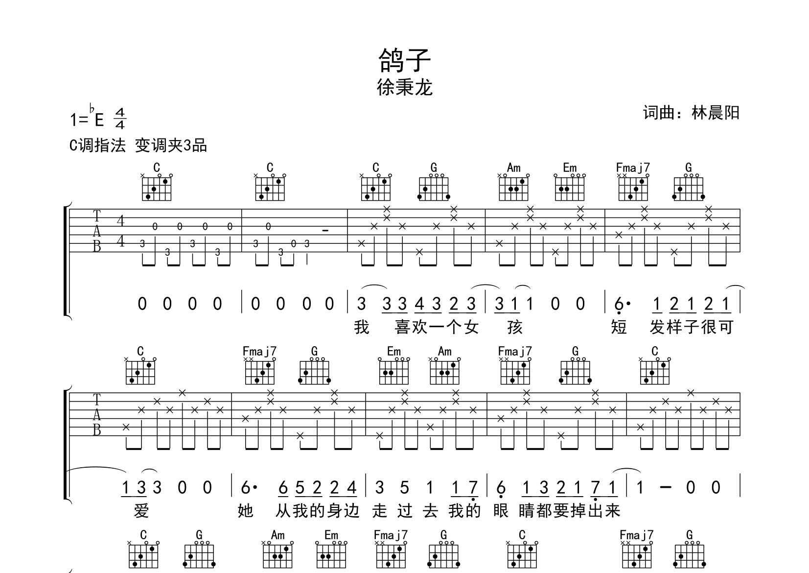 鸽子吉他谱预览图
