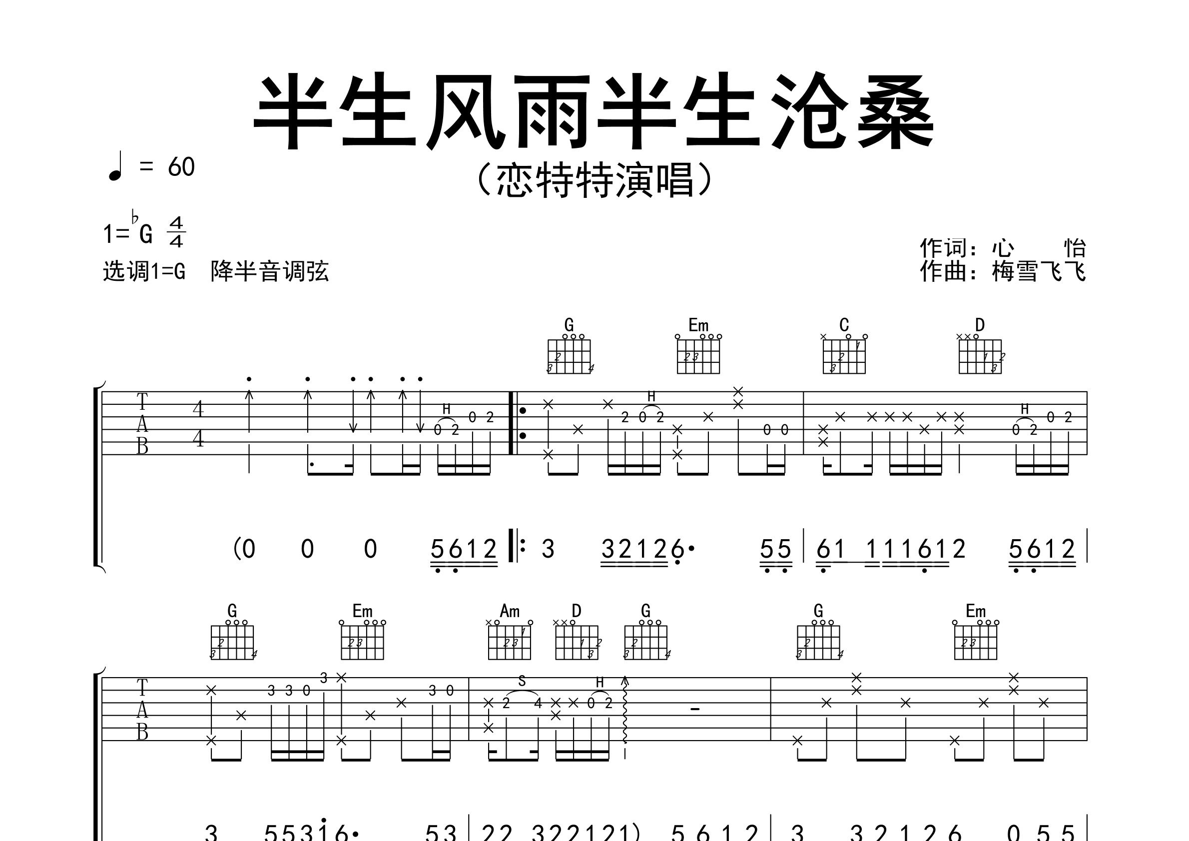 半生风雨半生沧桑吉他谱预览图