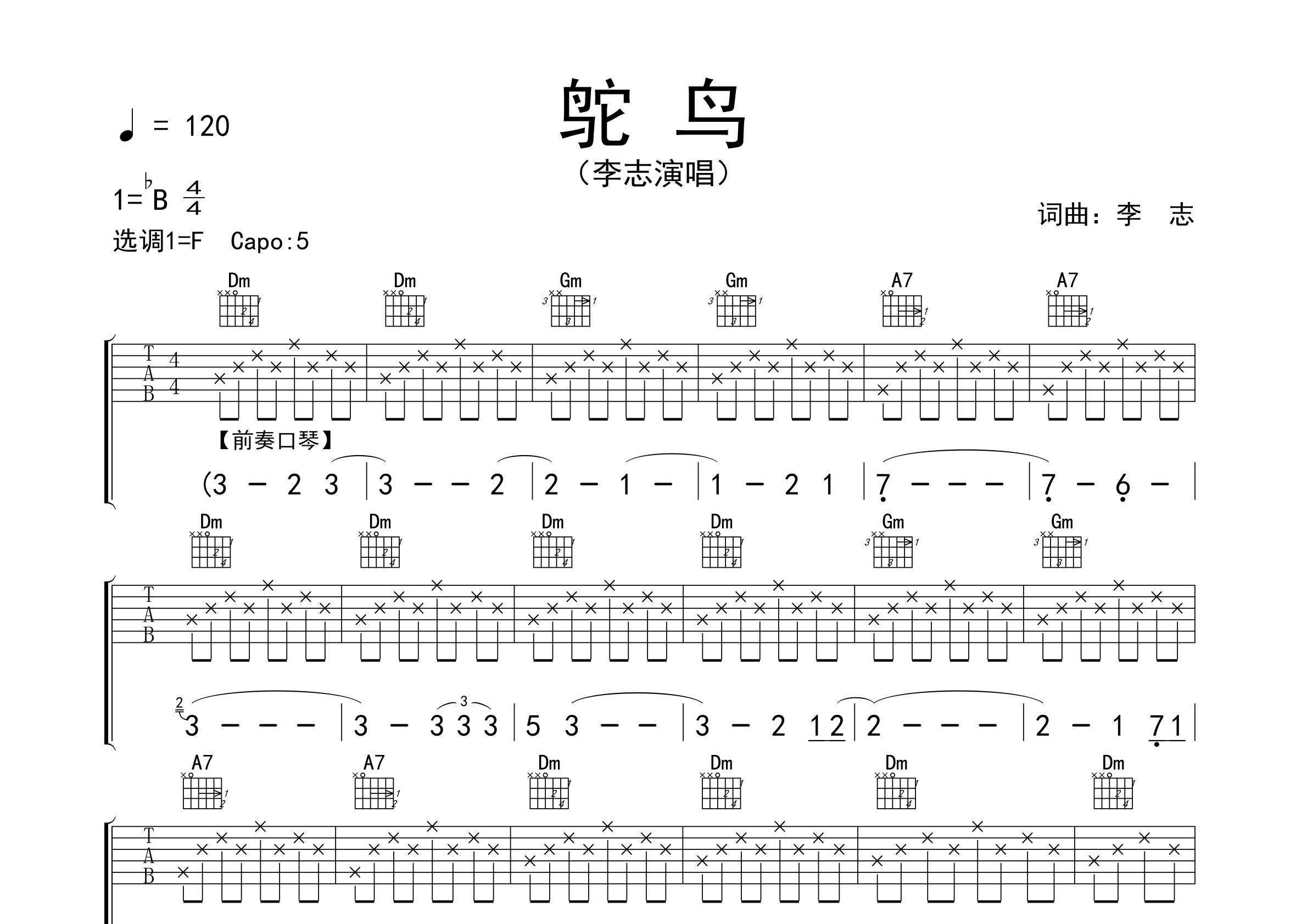 鸵鸟吉他谱预览图