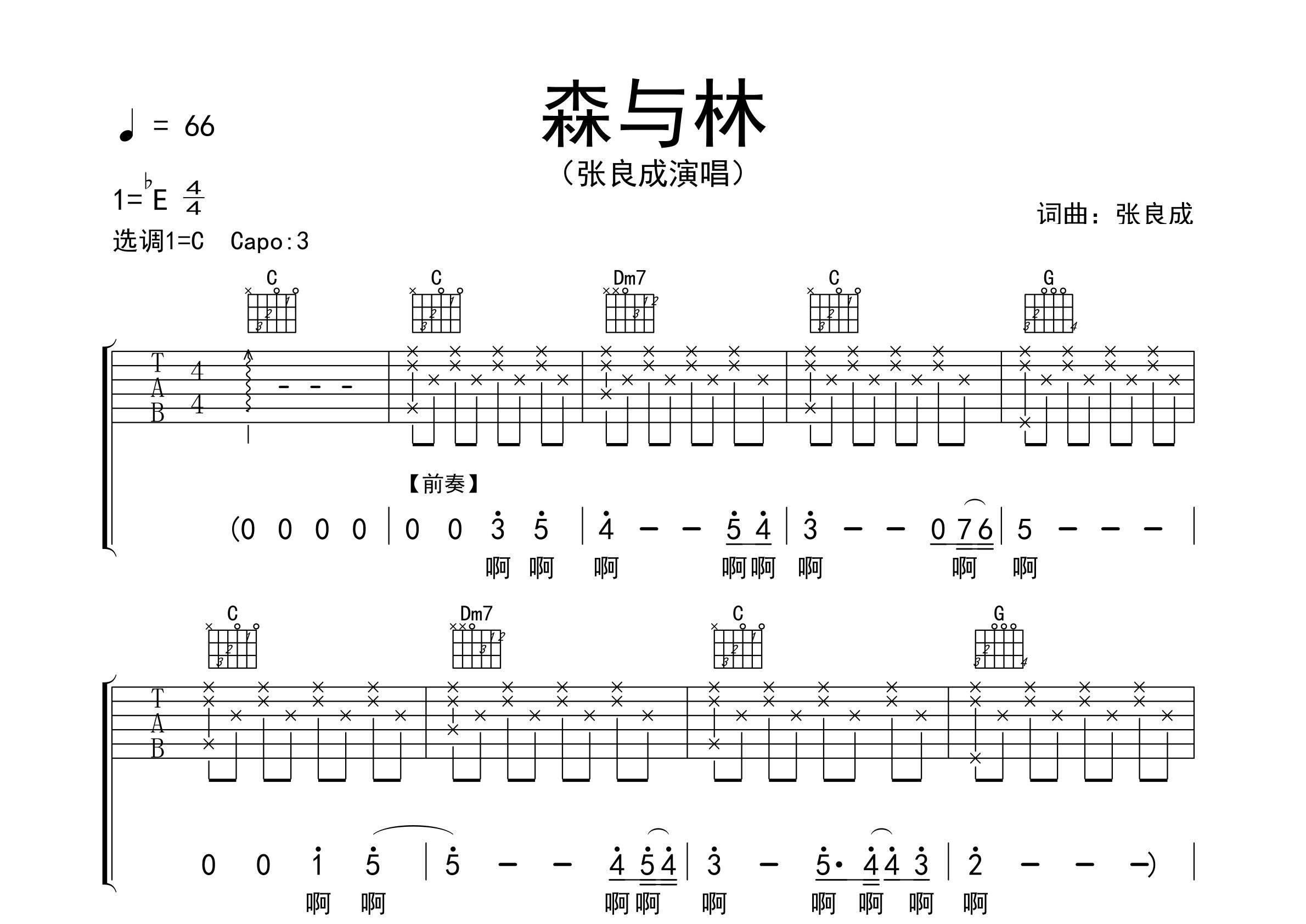 森与林吉他谱预览图