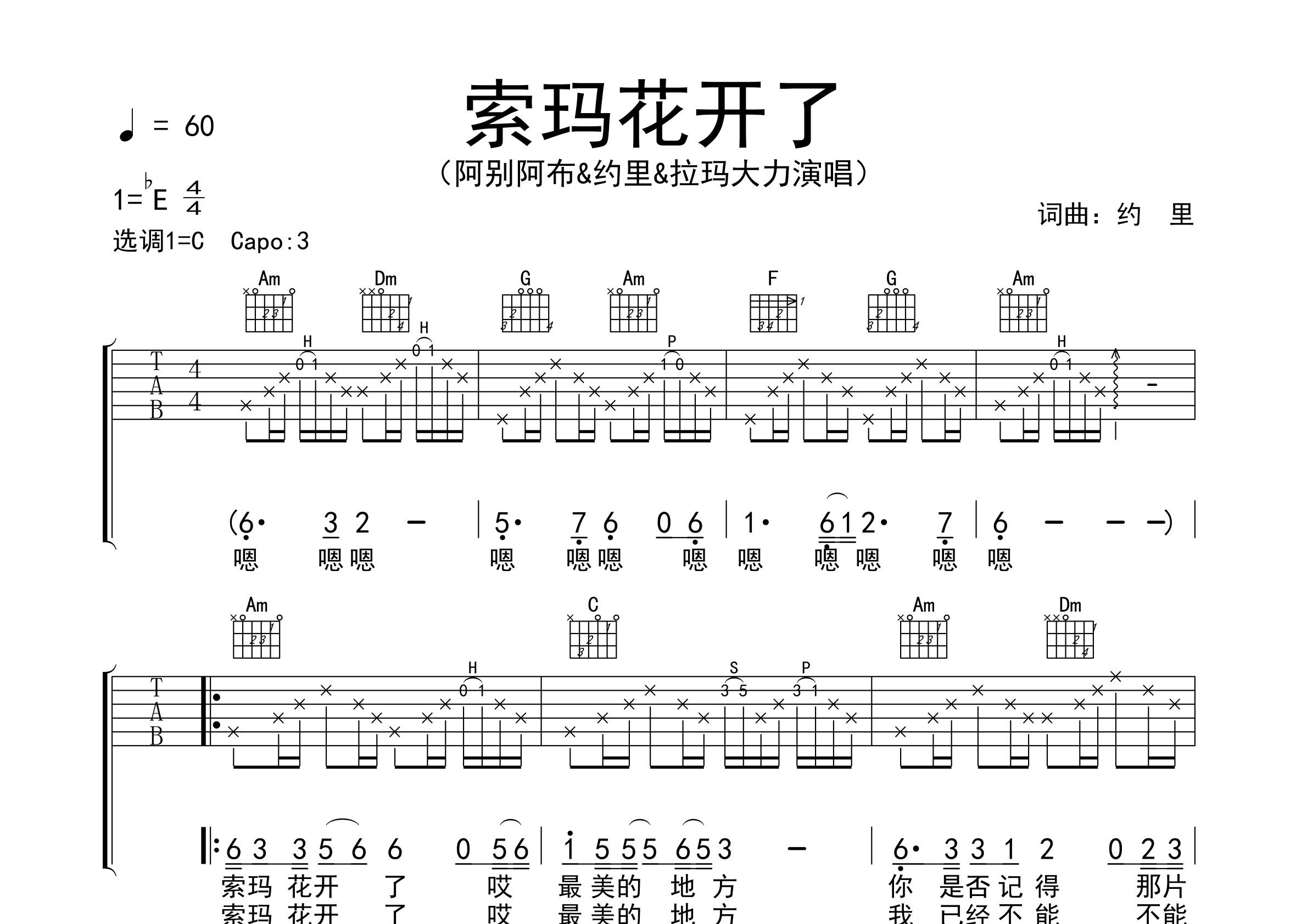 索玛花开了吉他谱预览图