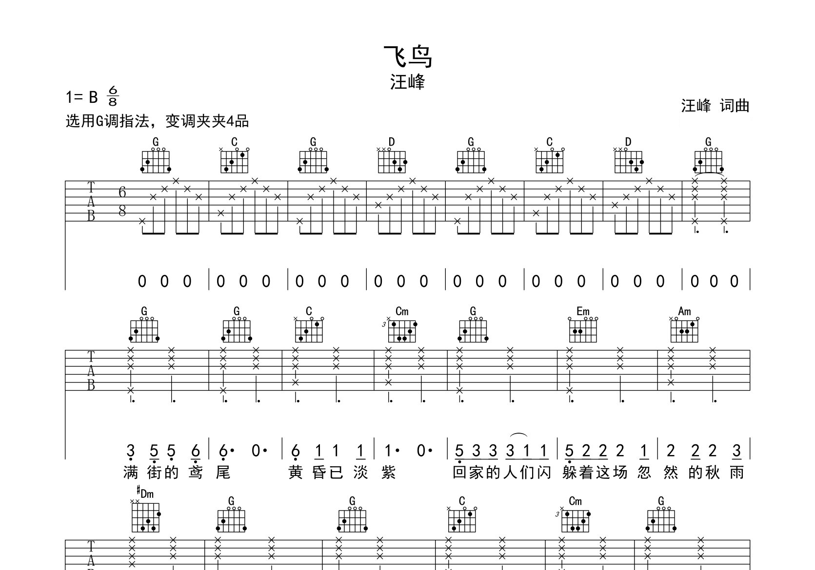 飞鸟吉他谱预览图