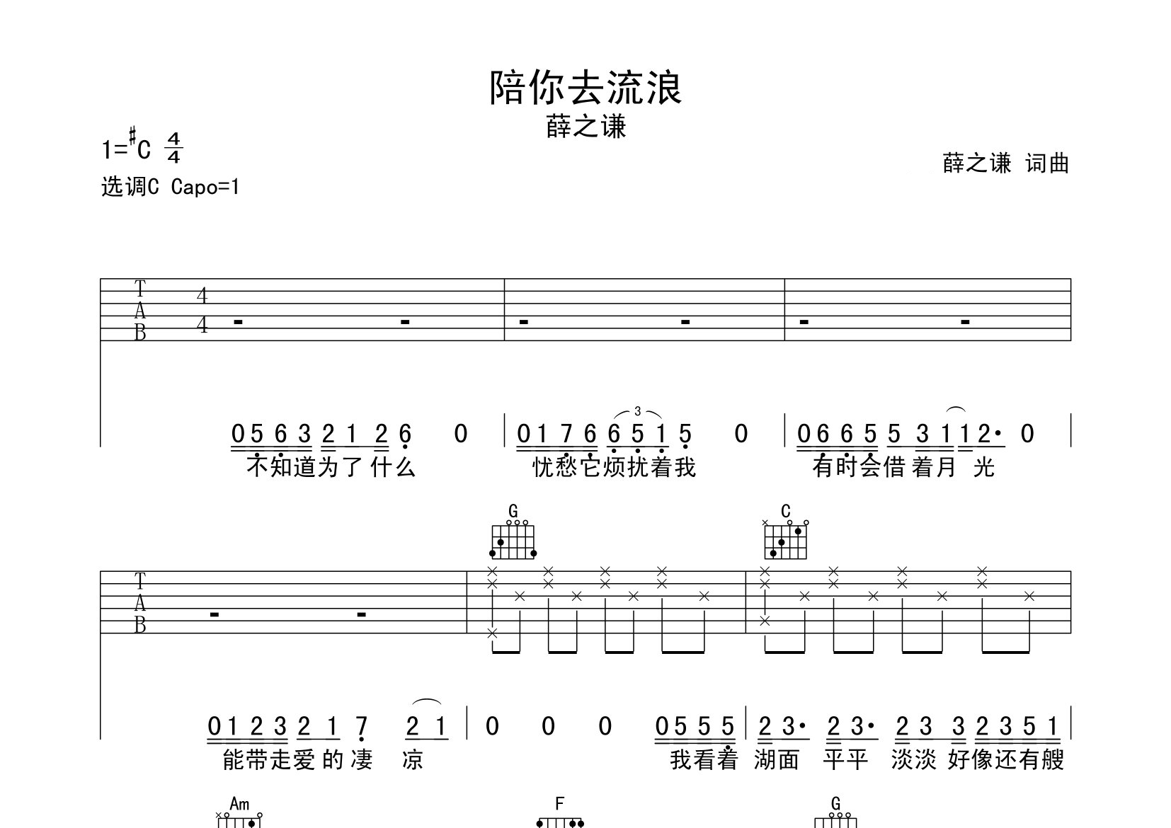 陪你去流浪吉他谱预览图