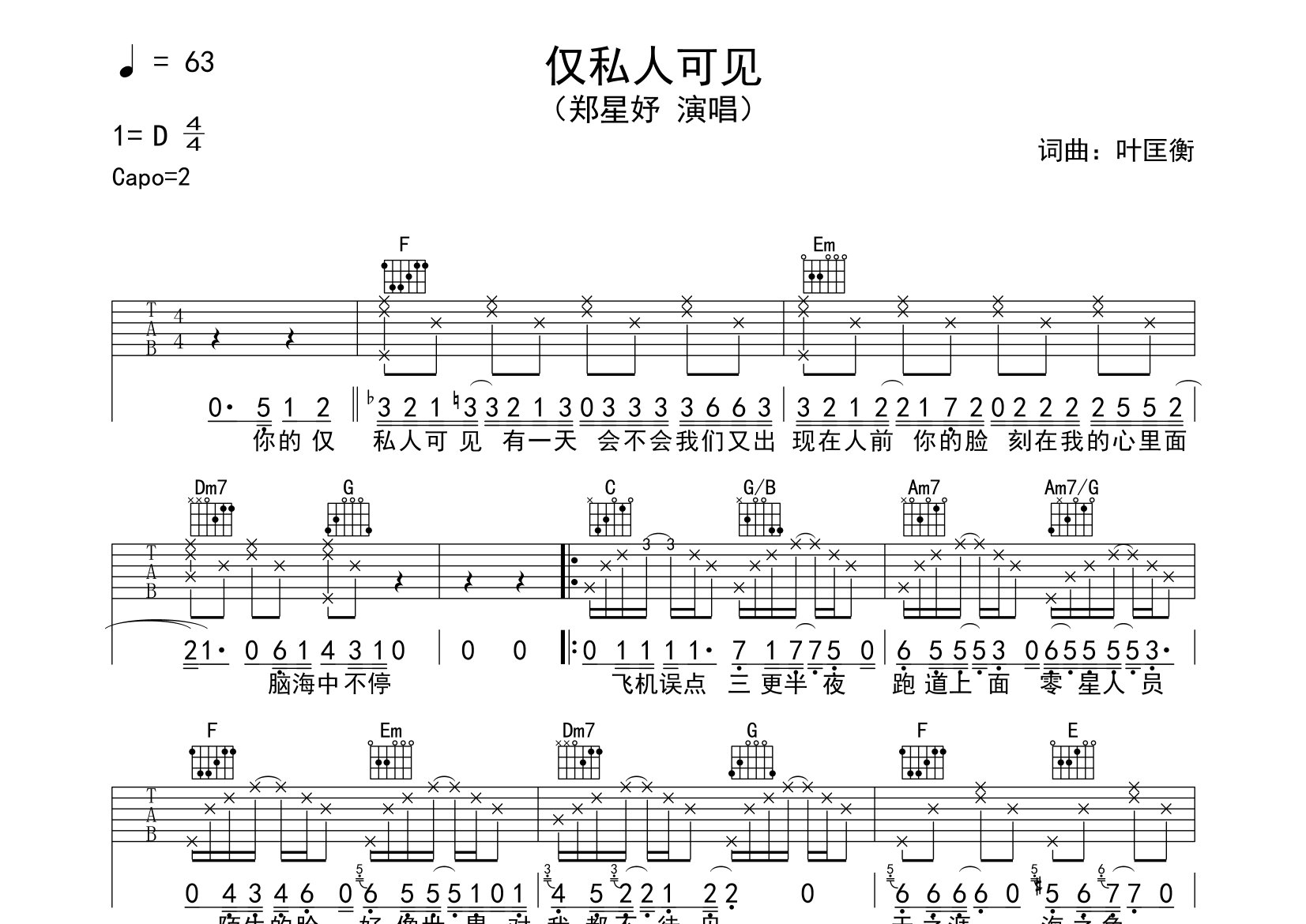 仅私人可见吉他谱预览图
