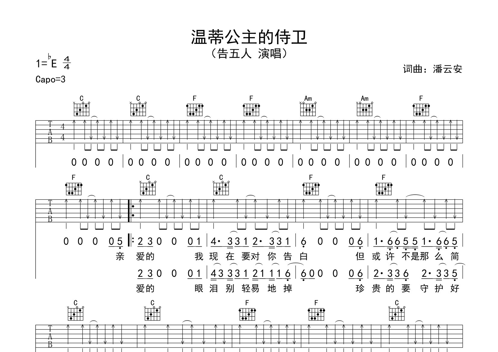 温蒂公主的侍卫吉他谱预览图