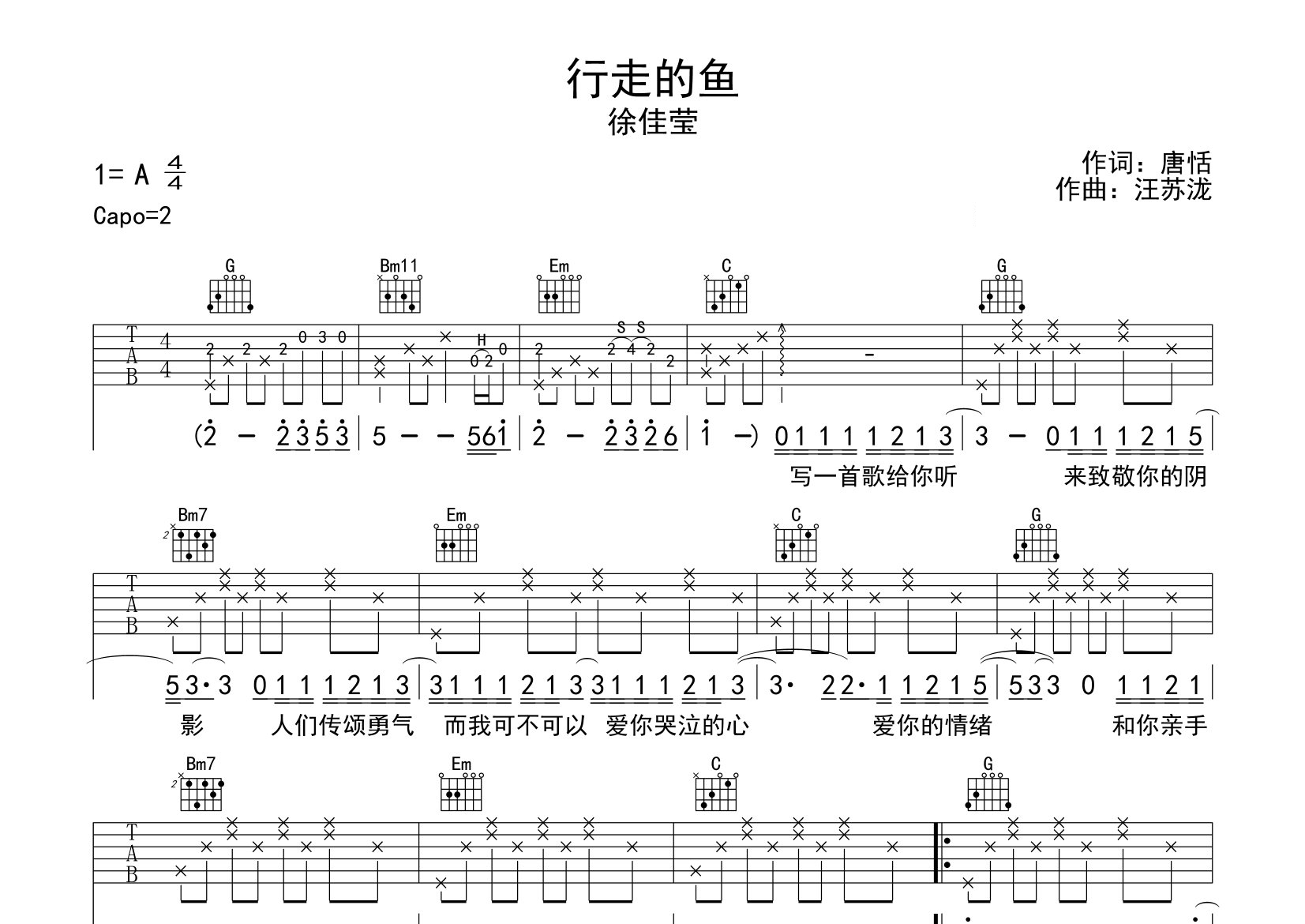 行走的鱼吉他谱预览图